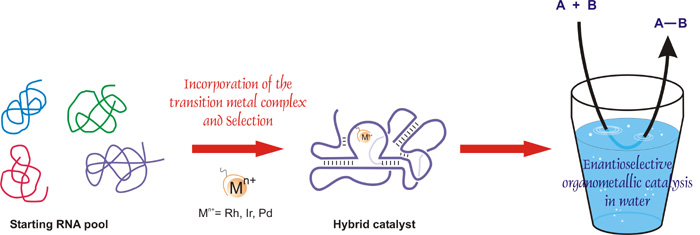 Hybrid Catalysis Project