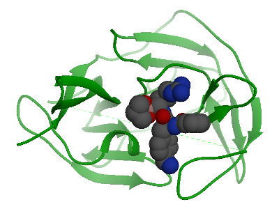 Zika protease with inhibitor