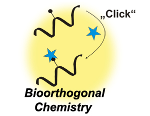 Bioorthogonal Chemistry