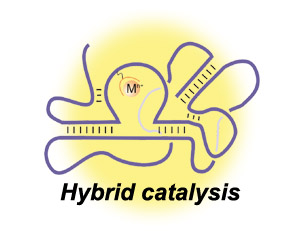 Hybrid Catalysis